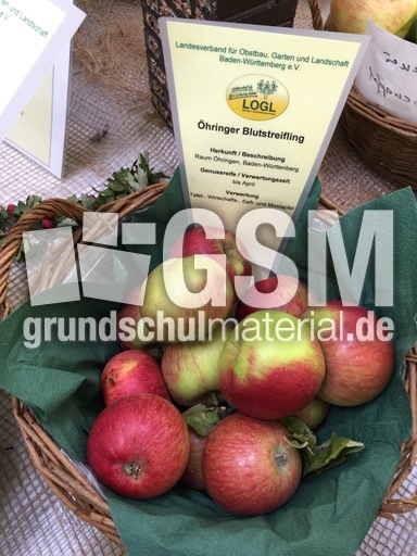 Öhringer Blutstreifling.jpg